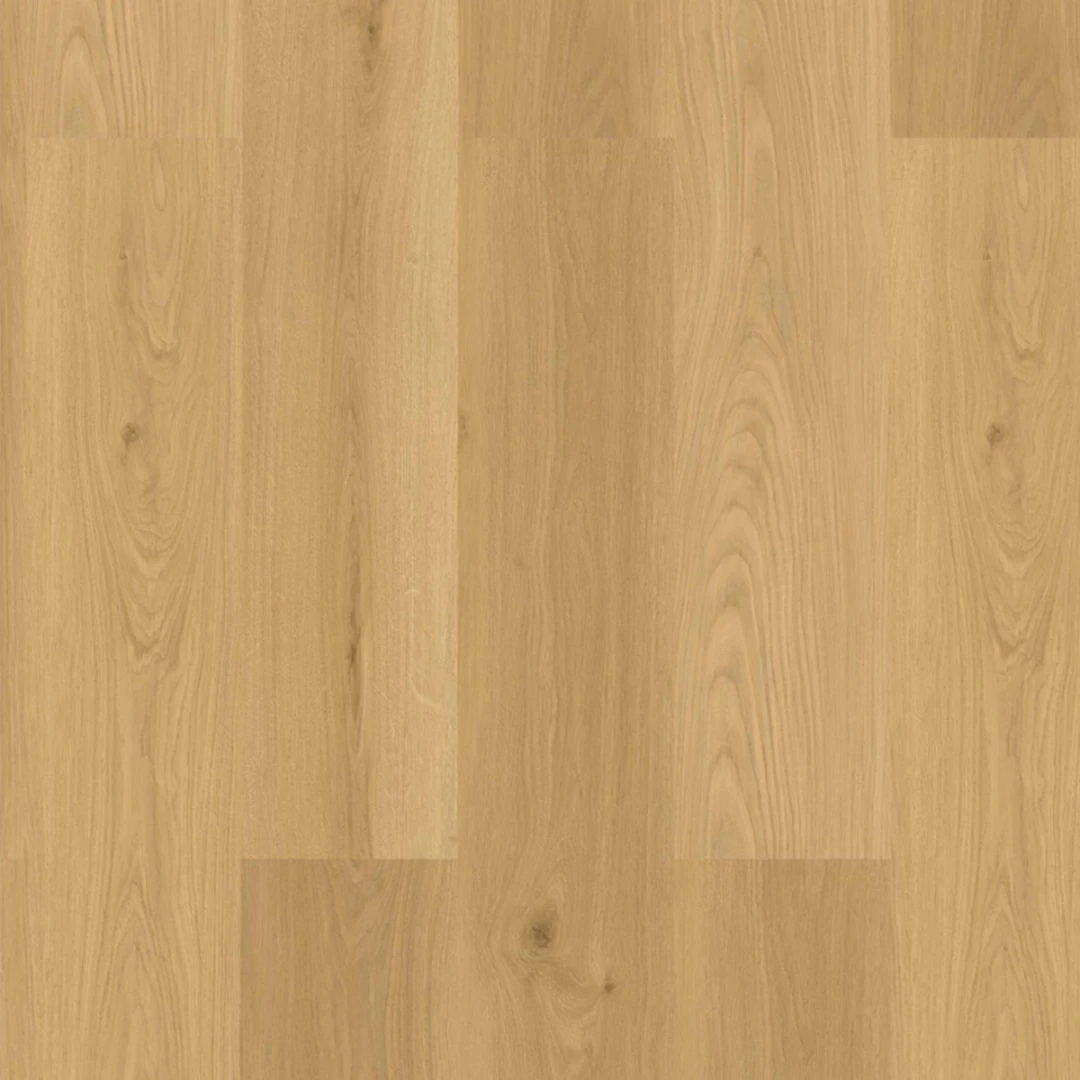 TreeFloor Check Premium